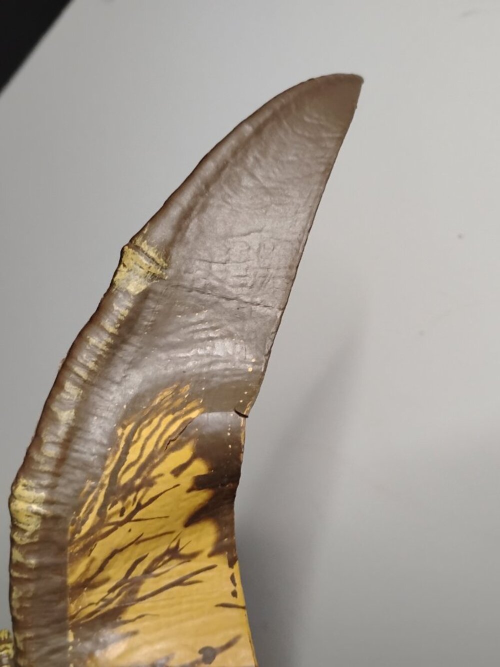 Jurassic World Amber Series Pteranodon & Sienon Mosasaurs - Picture 2 of 3